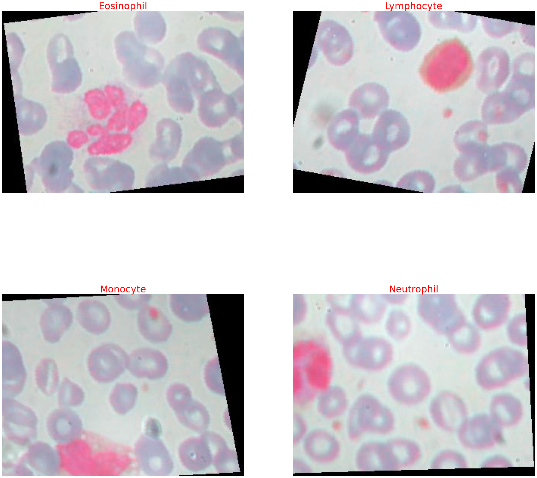CNN Blood Cells
