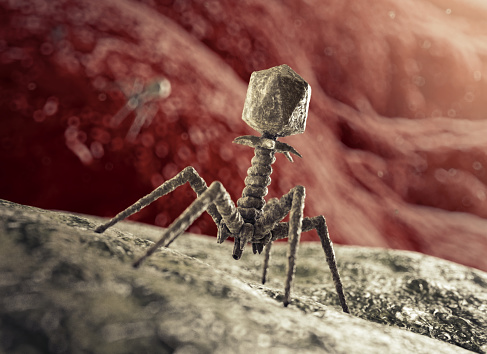 Phage-Based Applications in Synthetic Biology